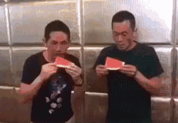 吃瓜比赛gif,一场视觉盛宴的趣味对决